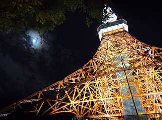2015年国庆从名古屋到札幌（F1铃鹿，池袋J-WORLD,东北盛冈，函馆夜景，青池，遗憾的富良野）