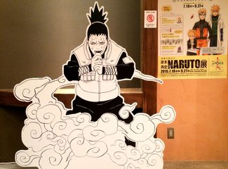 2015年国庆从名古屋到札幌（F1铃鹿，池袋J-WORLD,东北盛冈，函馆夜景，青池，遗憾的富良野）