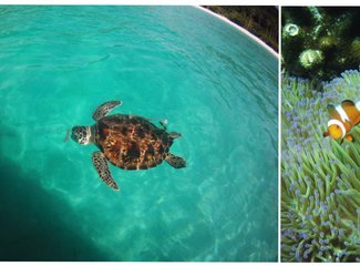 热浪岛当地旅游团,热浪岛浪中岛双岛游