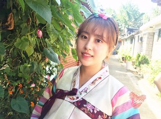 韩国吃喝玩乐旅游攻略,韩国购物攻略100例