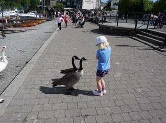 记英国5.28-6.4一周游