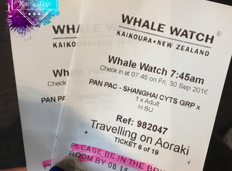 「2016.10RaesTriptoNewZealand」11日初次南半球之纽西兰