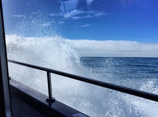 「2016.10RaesTriptoNewZealand」11日初次南半球之纽西兰