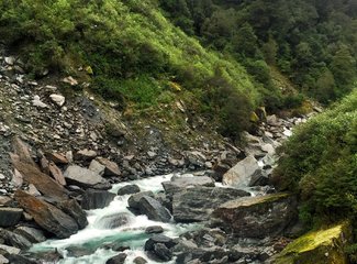 「2016.10RaesTriptoNewZealand」11日初次南半球之纽西兰