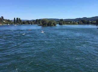 鲜花在脚下，雪山在前方——小淘淘2016年暑假瑞士徒步记