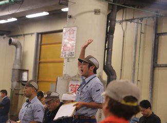 带着24个月小囡十一寸又峡寻密+东京+镰仓伊豆+横渡骏河湾观富士山+附详细交通攻略