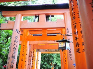 东京京都奈良大阪,东京大阪京都奈良路线