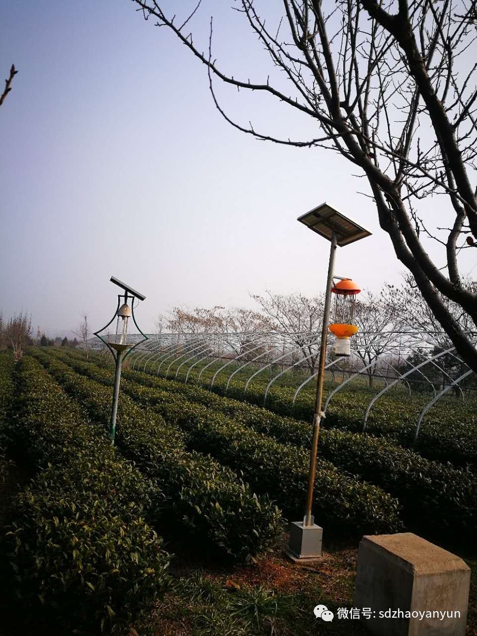 茶香余味图片大全,闻茶香品余味