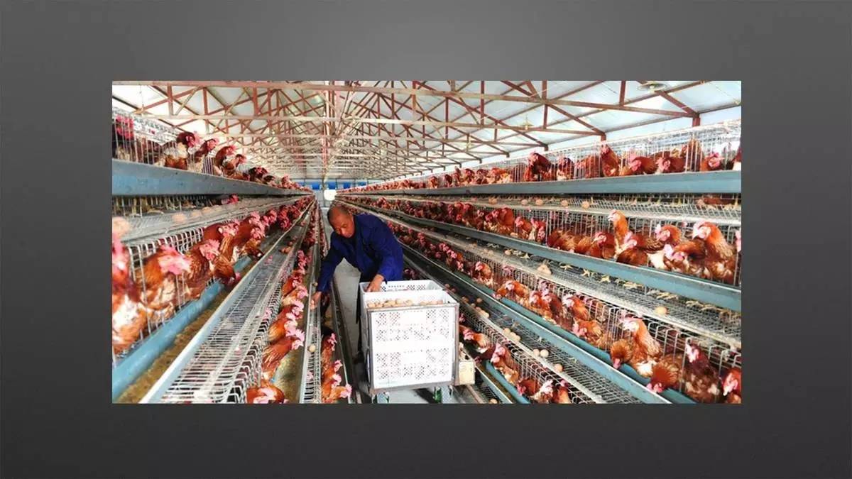 设计师必须改变思维方式，才能获得新的认知｜来自一位室内设计行业连续创新者的分享「设易学院干货064期」