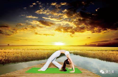 瑜伽养生课,瑜伽初级入门养生瑜伽