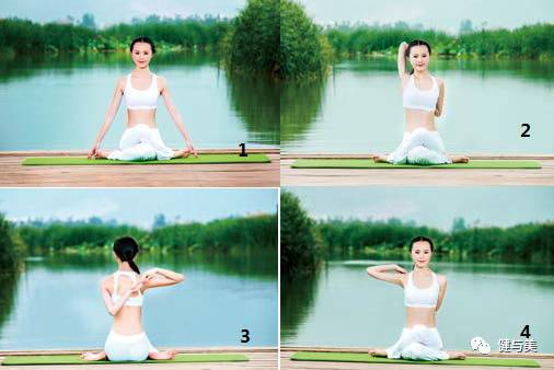 瑜伽养生课,瑜伽初级入门养生瑜伽