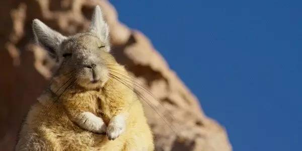 年度最好看的五部美剧,当前最火美剧英剧排行榜