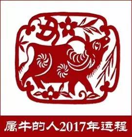 看十二生肖的运气和姻缘,2017十二生肖财运组合