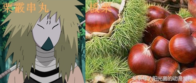 火影忍者忍刀七人众的武器图片,火影忍者忍刀七人众简介