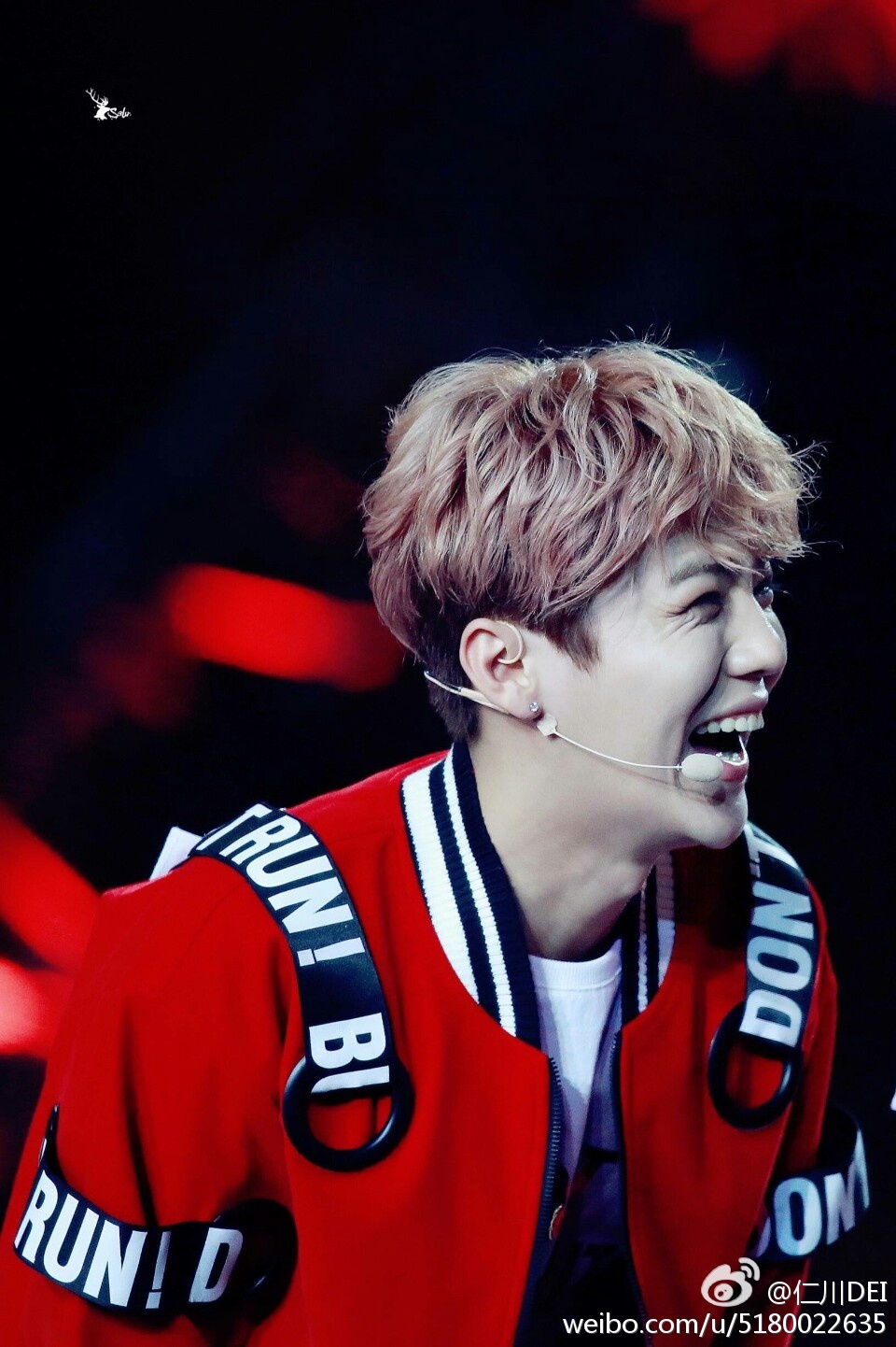 鹿晗跨年演出,鹿晗跨年演唱会solo