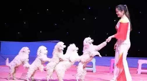 元旦跨年广州去哪玩免费,元旦去哪儿玩广州附近