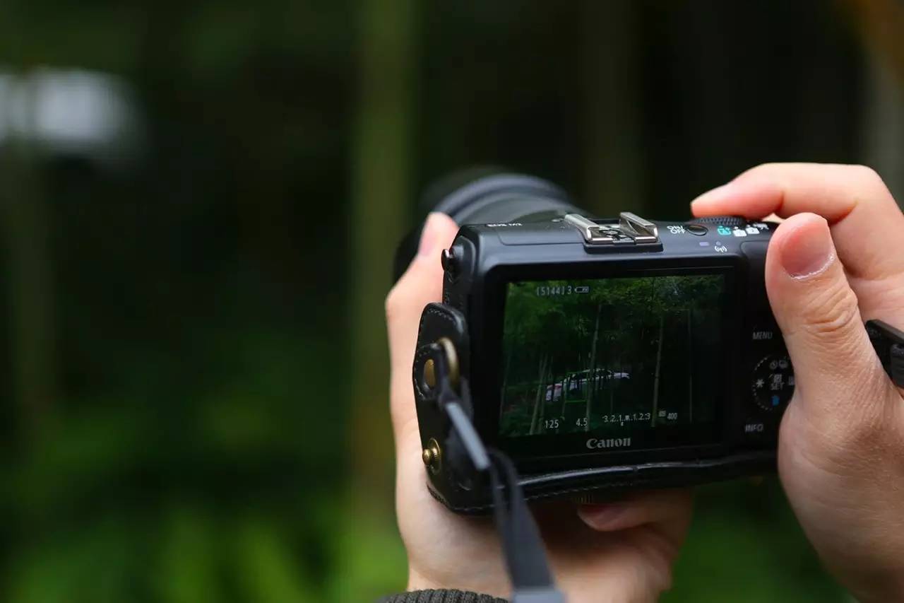 绿色的激情，试驾2017蒙迪欧