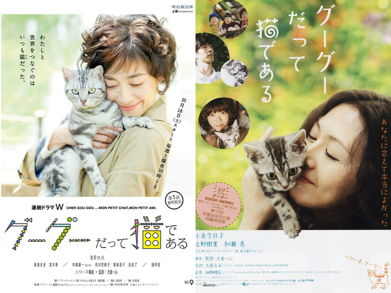 经典感人宠物电影大盘点,十大最暖心的宠物电影