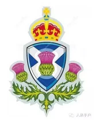 新年赏国花,世界各地最美的国花