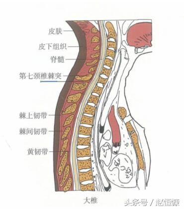颈肩部疼痛取穴,颈痛穴和腰痛穴