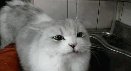 如何评价力哥说理财,力哥说理财是真是假