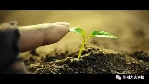 2型糖尿病新诊断用什么方法治疗最理想？