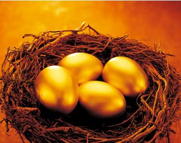 小鸡蛋大奥妙,各种小鸡蛋的科学知识