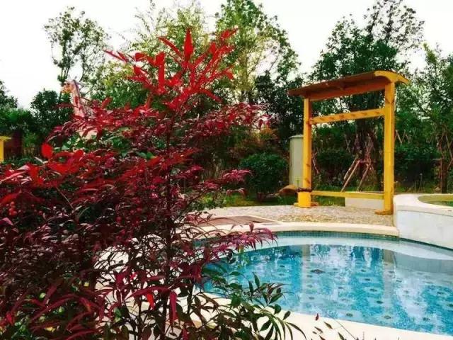 2021年洛阳旅游攻略指南,洛阳旅游攻略2015