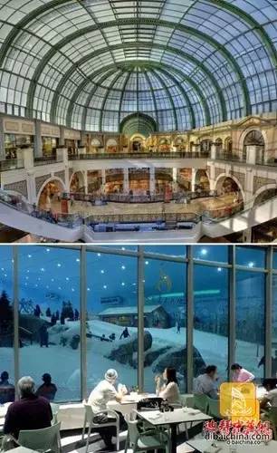 迪拜美食推荐攻略 (迪拜旅游攻略住宿推荐)