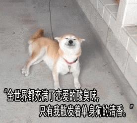 羡慕别人家的男朋友各种送礼物,不要羡慕别人有男朋友送礼物