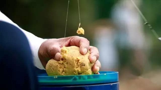 鲫鱼品种和肉质,鲫鱼品种和习性