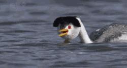 人要是倒霉喝凉水都塞牙缝,人要是倒霉喝凉水都塞牙后续