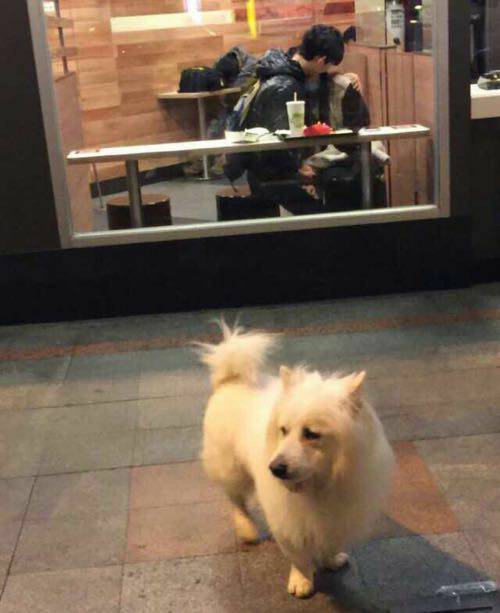 二次元女友拯救技术宅