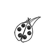 摆渡人王家卫张嘉佳烂片,摆渡人烂片是什么