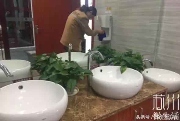 苏州的好看的东西,苏州vs纽约