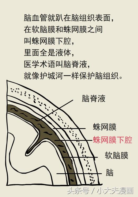 熊猫医生看病,熊猫医生图