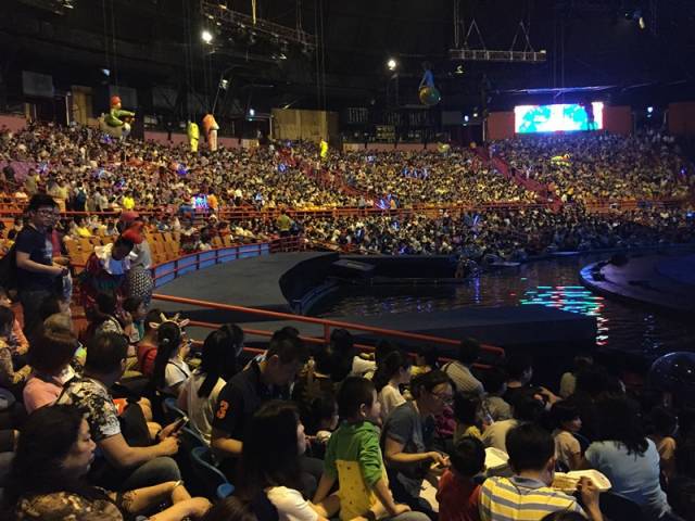 长隆攻略水上乐园和大马戏,广州长隆动物世界旅游攻略