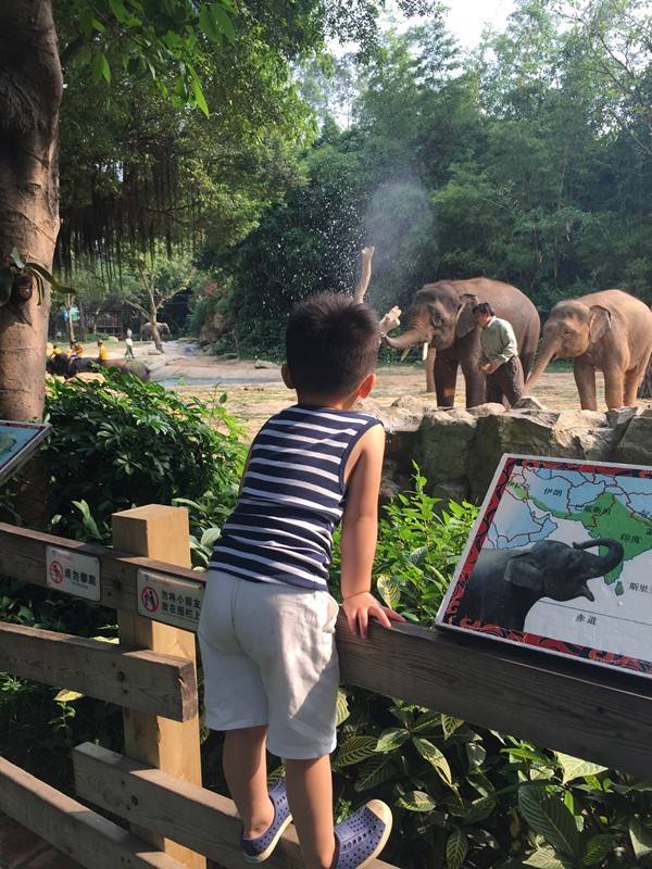 长隆攻略水上乐园和大马戏,广州长隆动物世界旅游攻略