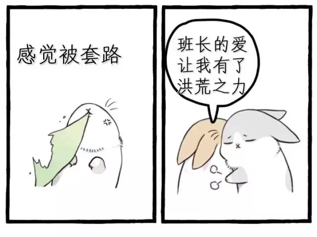 这些兵哥哥用网言网语记录军营生涯，6到飞起！