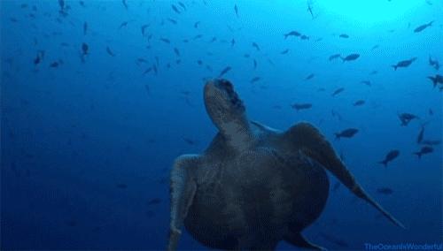 株洲市总体规划,株洲2019年规划