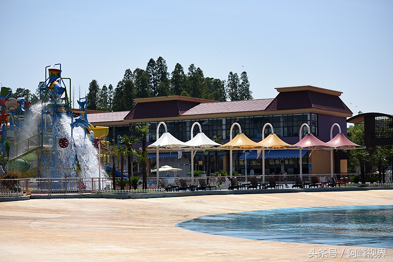 娲箹姘存氮鎵撴氮娲箹宀歌竟鍥剧墖,娲箹姘存氮鎵撴氮娲箹宀歌竟瑙嗛