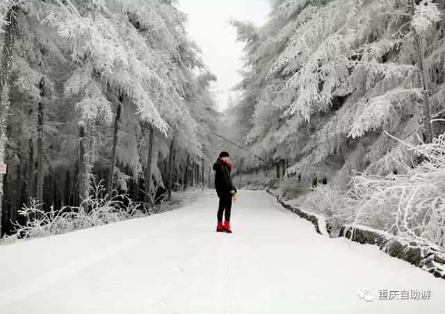 成都洗肺空气好的地方,去雾霾洗肺的地方