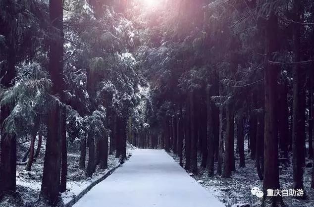 成都洗肺空气好的地方,去雾霾洗肺的地方