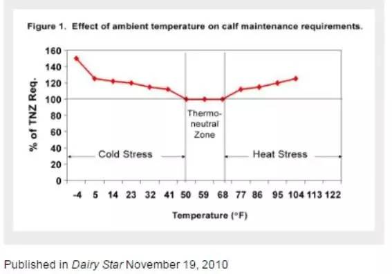 用心的犊牛管理者CRI国际兽医学博士——大卫L·布朗