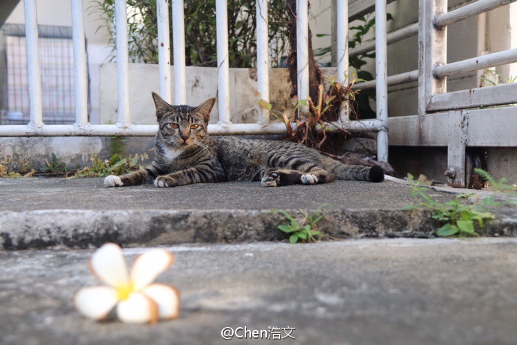 泰有趣来曼谷住民宿学做菜