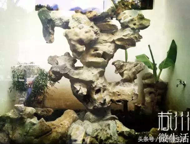 苏州的好看的东西,苏州vs纽约