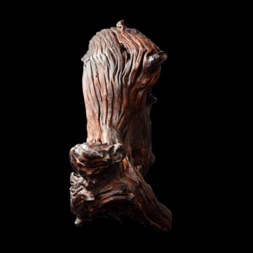 传世最顶级奇楠沉香展示,天然奇楠沉香面世图片