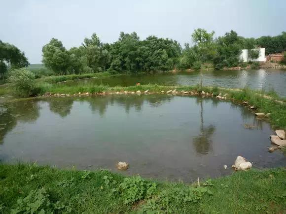 我叫义县,这是我的简历!