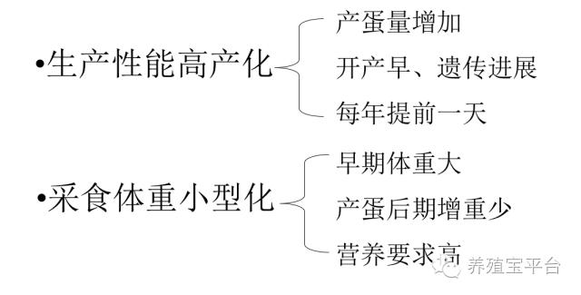 爱佳集团杨经理,杨文斌的养殖场