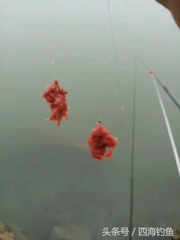 简单易学的完美拉饵开制方法,拉饵开饵方法和技巧